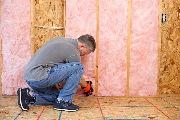 Best Wall Insulation Installation  in Valley Stream, NY